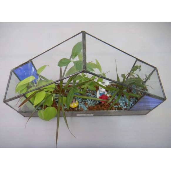 ステンドガラスハウスにハイドロカルチャー