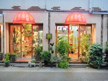 「花の店　フルールホリ」　（福井県福井市）の花屋店舗写真3